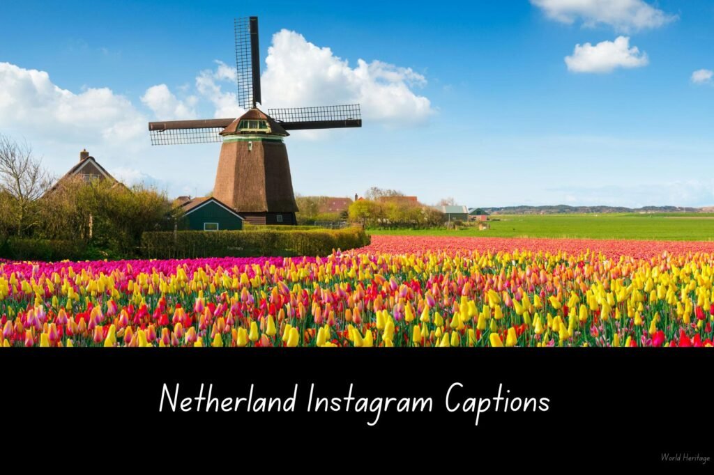 30+ Netherland Instagram Captions You NEED To Know!