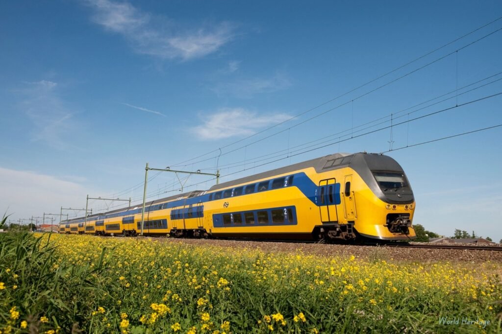 train