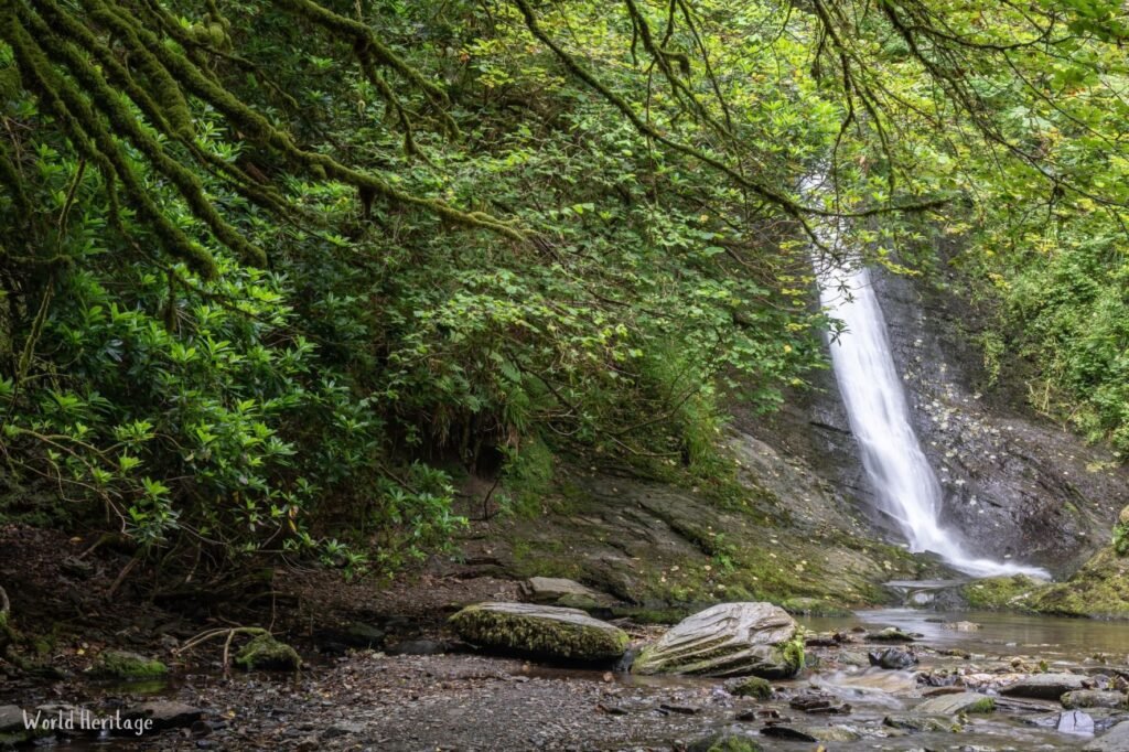 Lydford Gorge