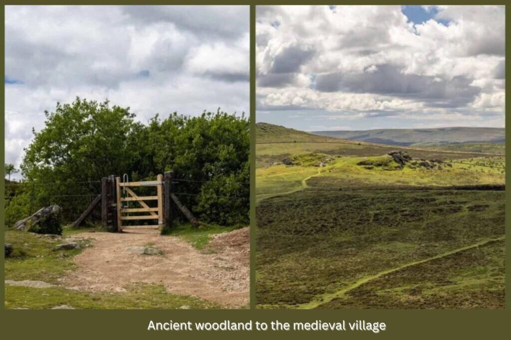 ancient woodland to the medieval village