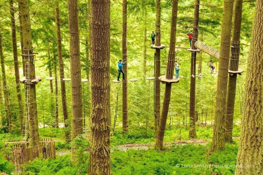 Go Ape Cockfosters